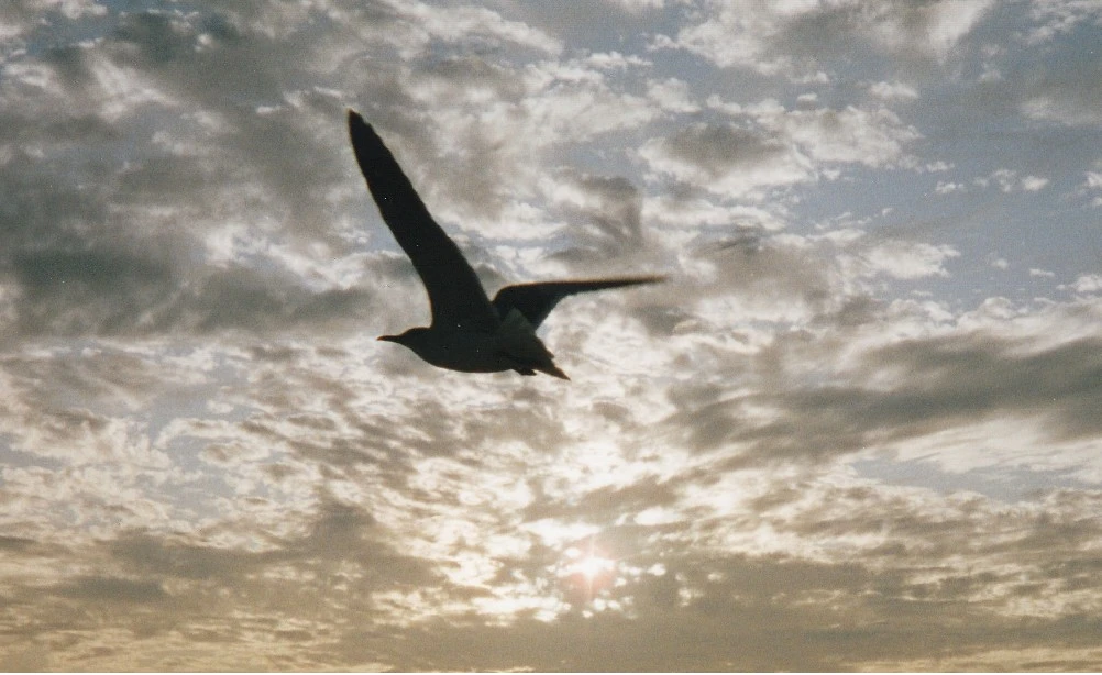 ModHintergrundbild image 1